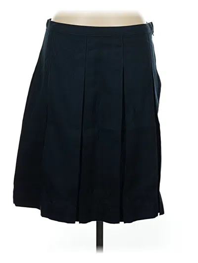 Pre-owned Lands' End Formal Skirt In Blue