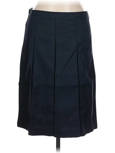 Pre-owned Lands' End Formal Skirt In Blue