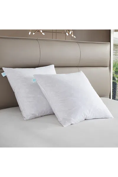 Lands' End Martha Stewart European Square Feather Firm Pillow 2 Pack In White