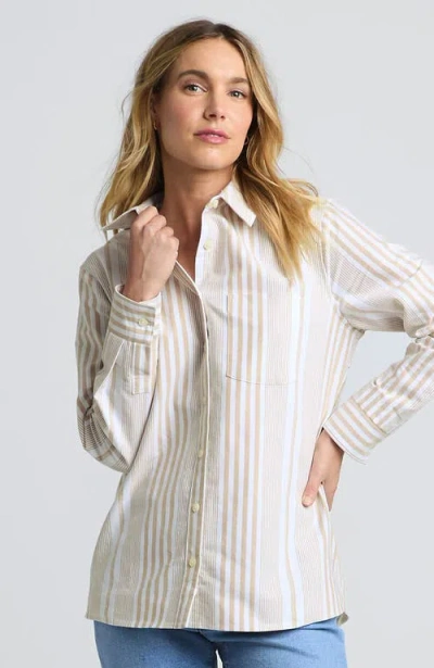Lands' End Oxford Shirt In Harvest Bronze Founders Stripe