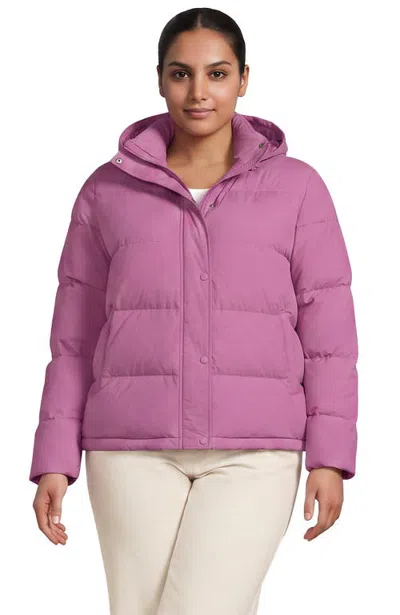 Lands' End Plus Size Max 600 Down Puffer Jacket In Pattern