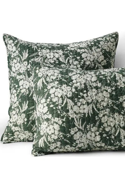Lands' End Printed Seed Stitch Sham