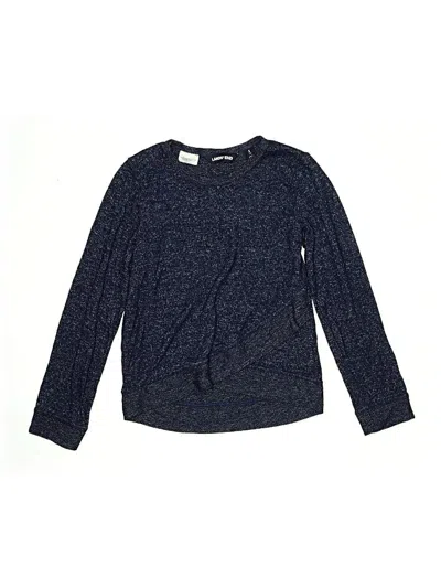 Pre-owned Lands' End Kids'  Pullover Sweater In Blue