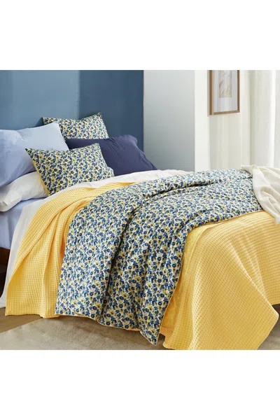 Lands' End Pureloft Pillow Sham In Blue