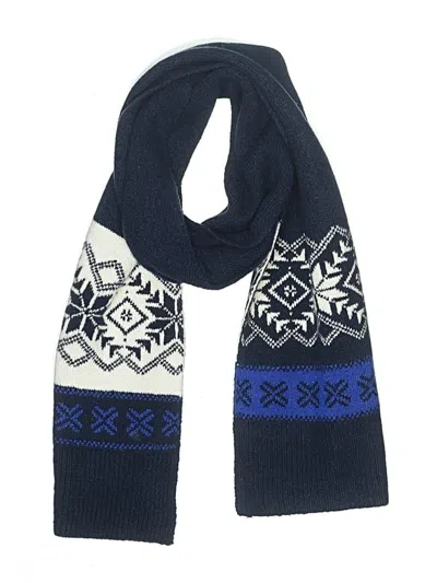 Pre-owned Lands' End Scarf In Blue