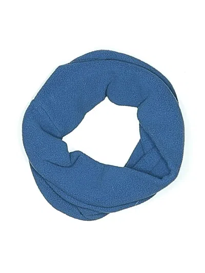 Pre-owned Lands' End Scarf In Blue