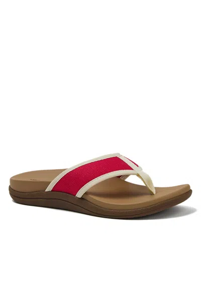 Lands' End Women's All Day Comfort Canvas Flip Flops In Brown