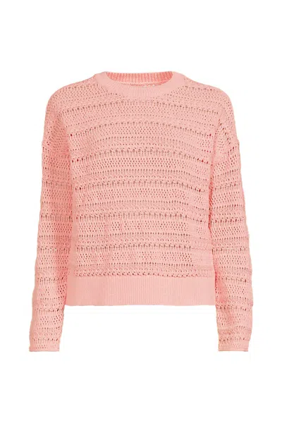 Lands' End Women's Cotton Blend Pointelle Crew Neck Sweater In Orange