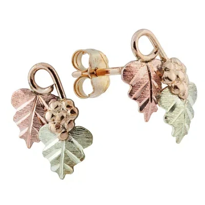 Landstrom's Black Hills Gold Black Hills Gold 10k Tri-color Gold 10.1mm Flower Stud Earrings In Transparent