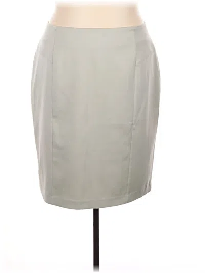Pre-owned Lane Bryant Formal Skirt In Gray