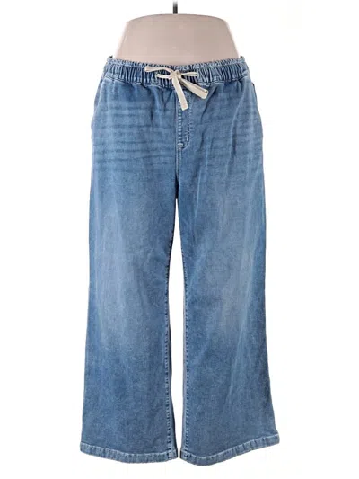 Pre-owned Lane Bryant Jeans In Blue