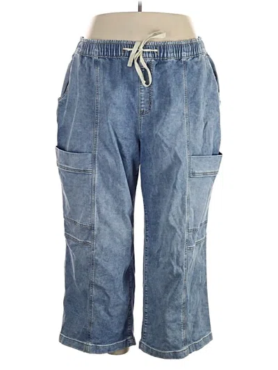 Pre-owned Lane Bryant Jeans In Blue