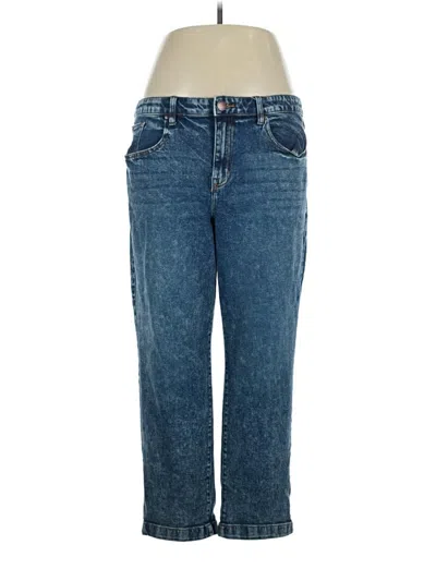 Pre-owned Lane Bryant Jeans In Blue