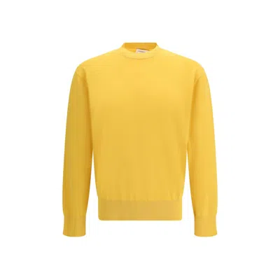 Laneus Crew-neck Long-sleeve Sweater In Yellow