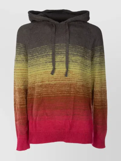 Laneus Gradient Hooded Sweater Long Sleeves In Multi