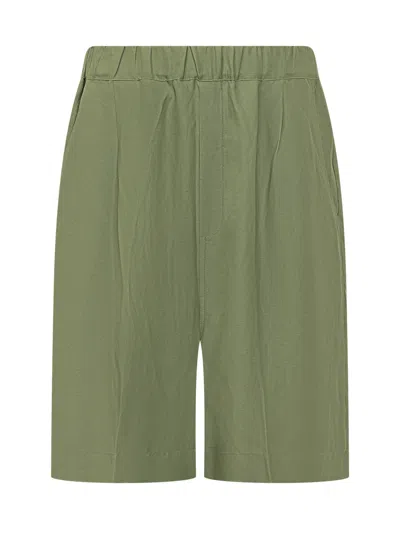 Laneus Green Solid Shorts