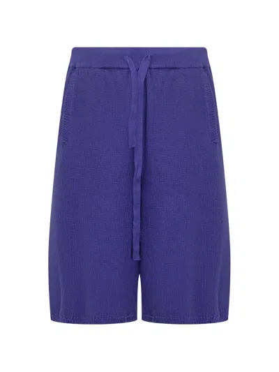 Laneus Knitted Bermuda Shorts In Purple