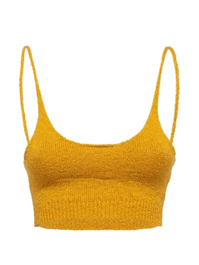Laneus Knitted Crop Top In Gold