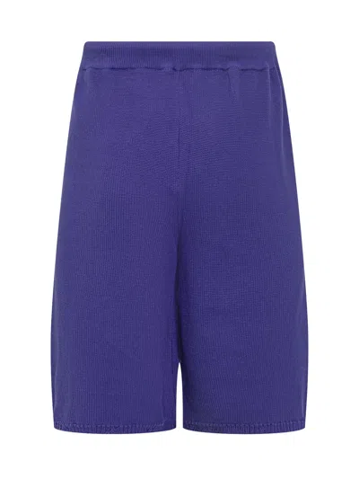 Laneus Stylish Shorts With Drawstring For Spring/summer In Blu