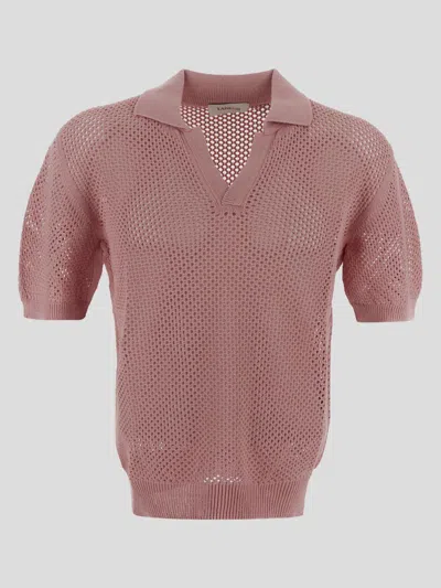 Laneus Sweaters In Light Rose