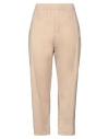 Laneus Woman Pants Beige Size 12 Cotton, Elastane In Beige