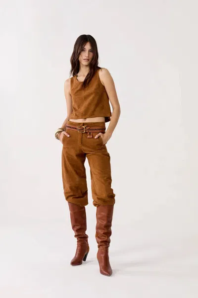 Lanhtropy Avery Goat Suede Pants In Tan In Multi