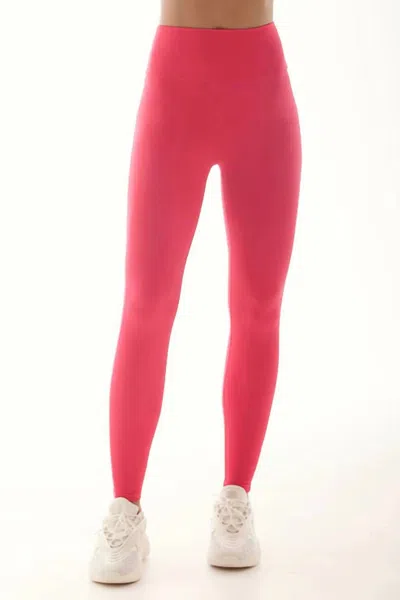 Lanston Hypnotic Mesh Side Legging In Jazz In Multi