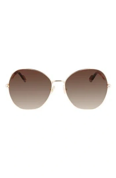 Lanvin Arpege 59mm Tinted Round Sunglasses In Brown