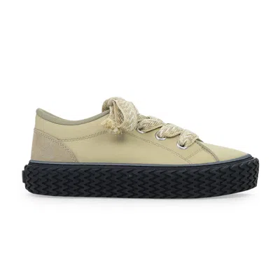 Lanvin Beige/black Baskets Basses Curbies Sneakers In Green