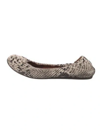 Pre-owned Lanvin Canvas Animal Print Ballet Flats In Neutrals