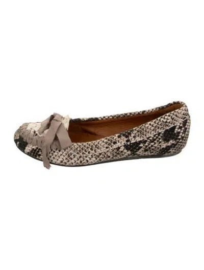 Pre-owned Lanvin Canvas Animal Print Ballet Flats In Neutrals