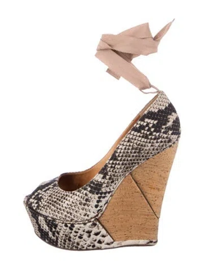 Pre-owned Lanvin Canvas Animal Print Pumps