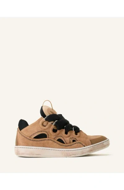 Lanvin Curb Canvas Sneakers In Brown