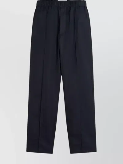 Lanvin Elasticated Waist Pleated Trousers Pockets In Blue