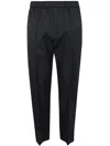 Lanvin Elasticated Waist Trousers In Blue