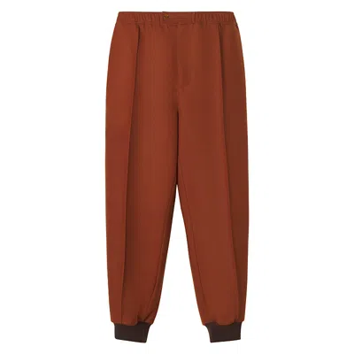 Lanvin Flannel Jogging Pants In Brown