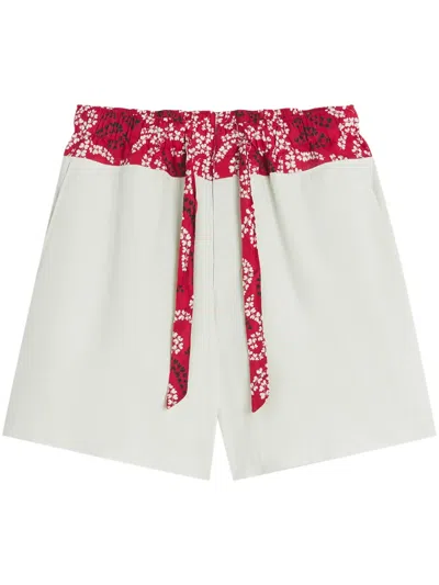 Lanvin Printed Cotton Shorts In Beige