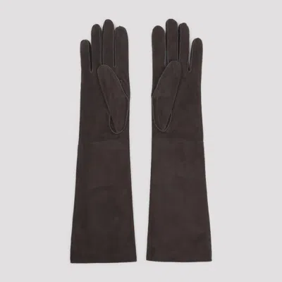 Lanvin Slim Suede Goatskin Leather Long Gloves In Brown