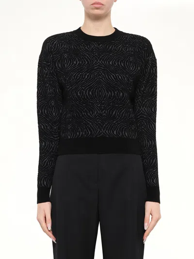 Lanvin Tiger-pattern Sweater In Black