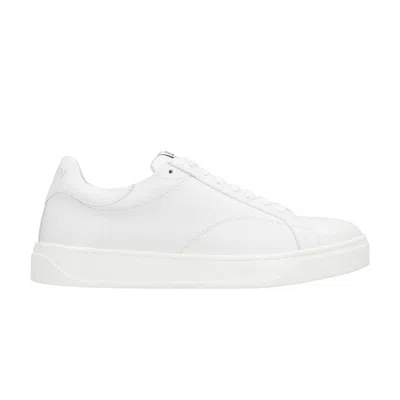 Pre-owned Lanvin Wmns Ddb0 Sneaker 'white' | Women's Size 39