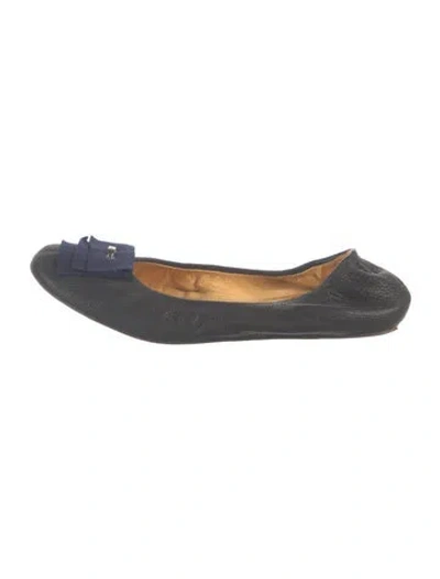 Pre-owned Lanvin Leather Ballet Flats In Blue
