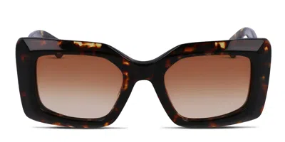 Lanvin Lnv649s Tortoise