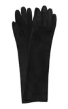 Lanvin Long Slim Suede Gloves In Black