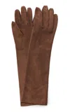 Lanvin Long Slim Suede Gloves In Brown