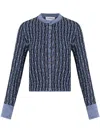 Lanvin Metallic Knitted Cardigan In Blue