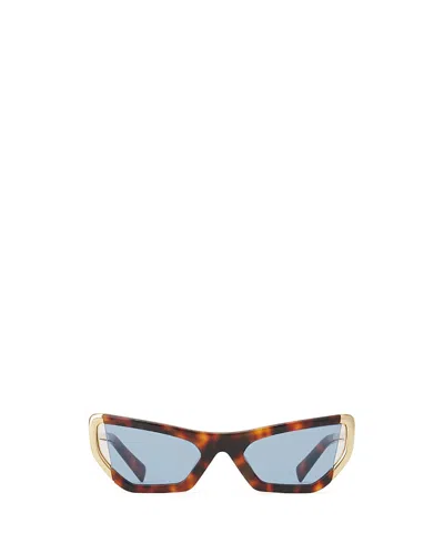 Lanvin Nova Sunglasses In Brown