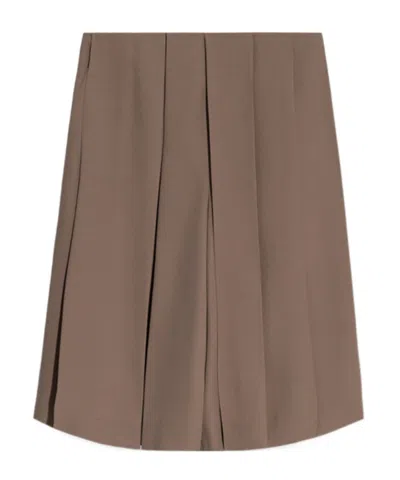 Lanvin Pleated Shorts In Brown