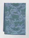 Lanvin Rectangular Cotton-silk Blend Scarf With Fern Print