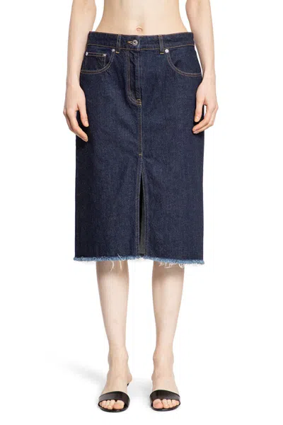 Lanvin Skirts In Blue