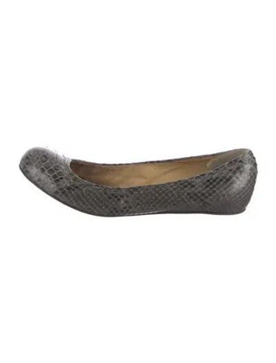 Pre-owned Lanvin Snakeskin Animal Print Ballet Flats In Gray